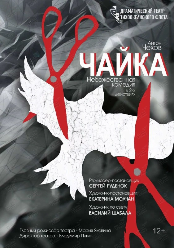 Спектакль «Чайка» (Драматический театр ТОФ)
