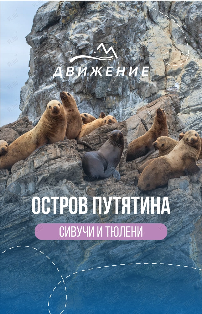 Тур на остров Путятина (сивучи - ларги - Мраморная бухта) (Движение)