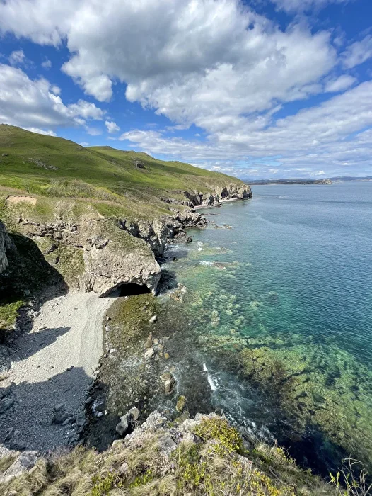 Полуостров Краббе + морские котики