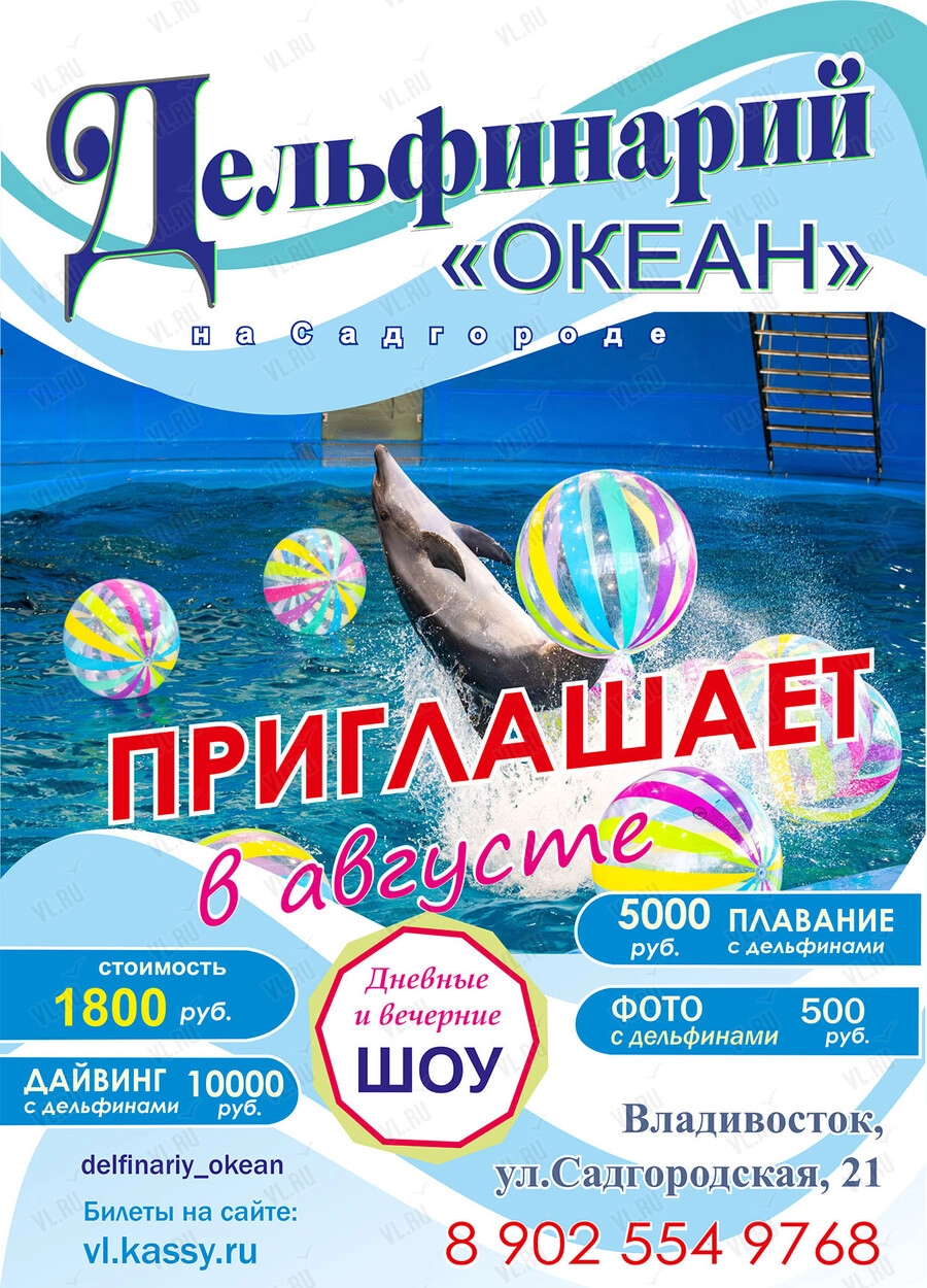 Шоу дельфинов (Океан)
