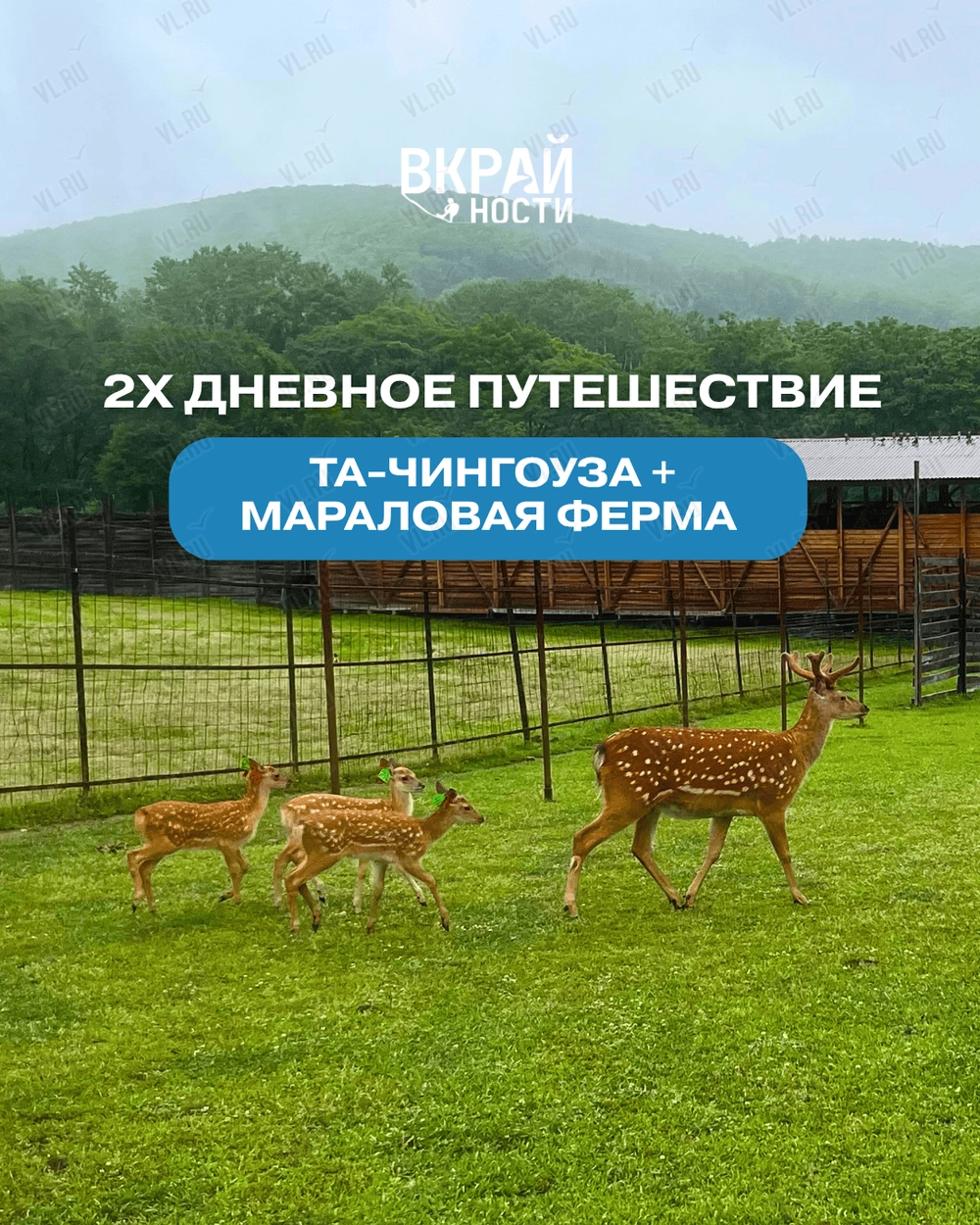 Двухдневное путешествие «Та-Чингоуза + Мараловая ферма» (ВКрайности)
