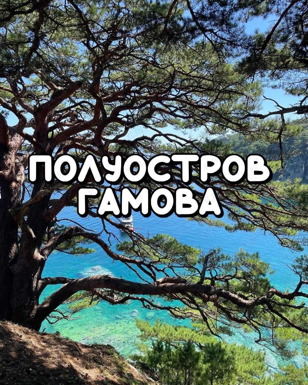 Джип-тур «Полуостров Гамова» (Энерджи Тревел)