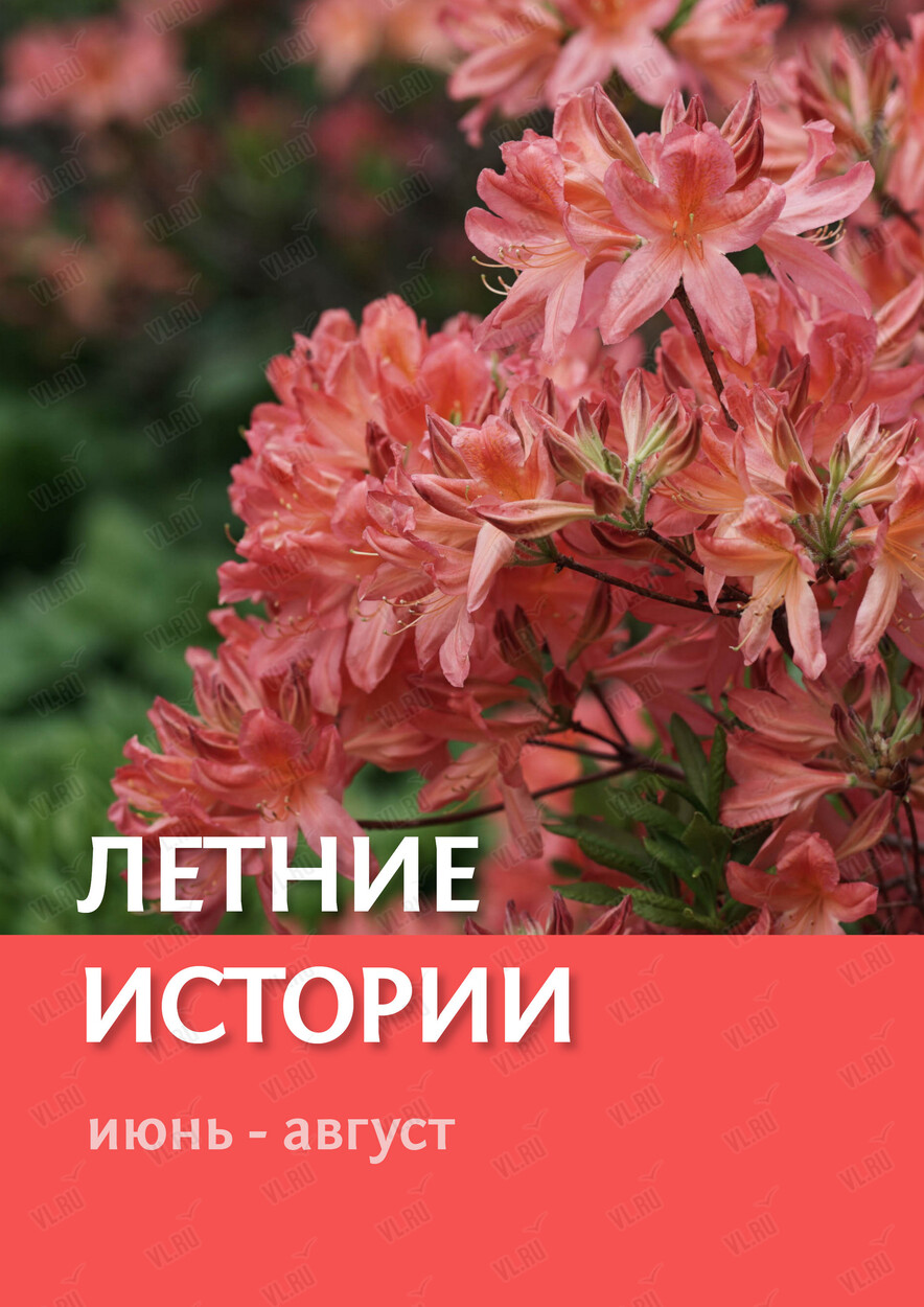 Экскурсия по Ботаническому саду «Летние истории» (Ботанический сад ДВО РАН)
