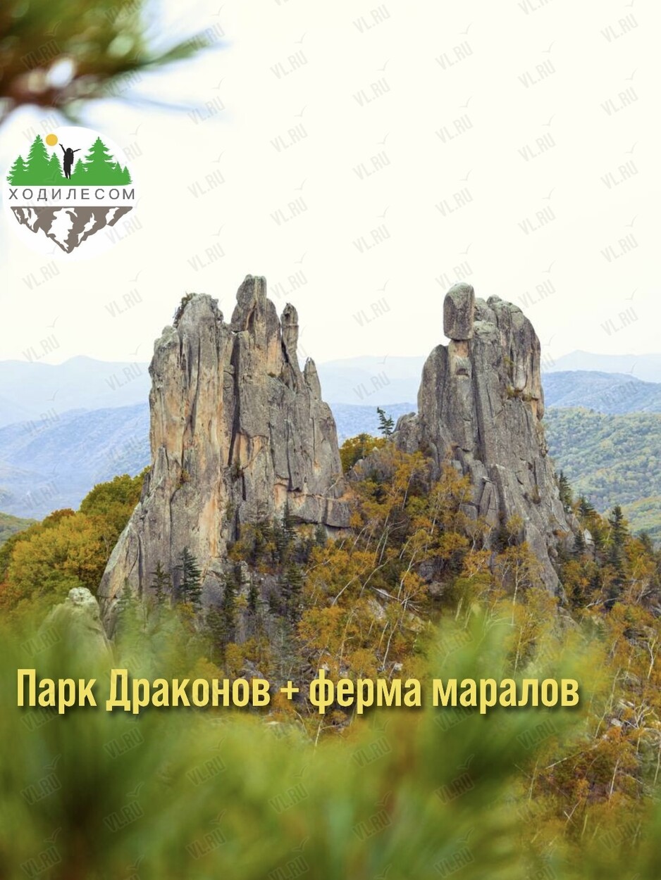 Тур «Парк драконов + мараловая ферма» (Ходи Лесом)