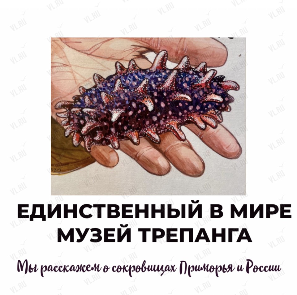 Экскурсия в Музей Трепанга