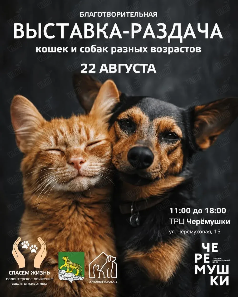 Благотворительная выставка-раздача бездомных животных (Черемушки)