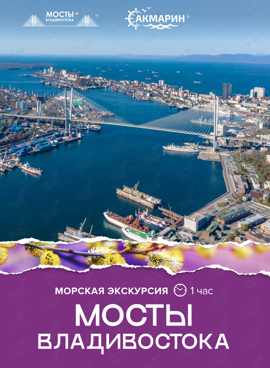 Морская экскурсия «Мосты Владивостока»