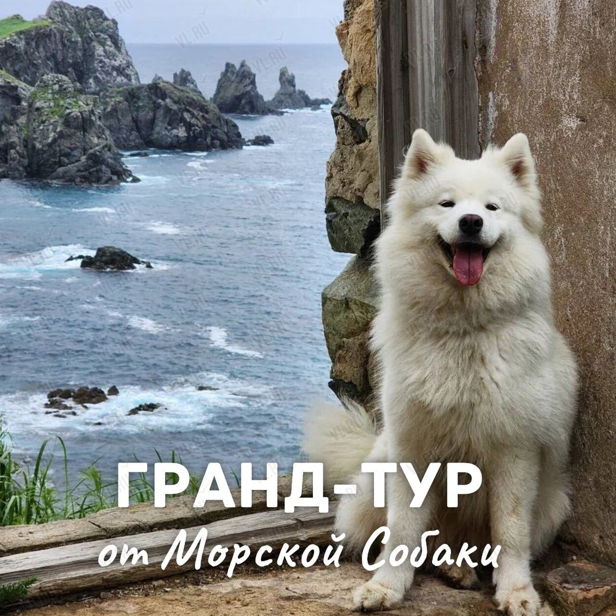 Гранд-тур «Аскольд + о. Путятина и морские львы» (Туры с Морской Собакой)