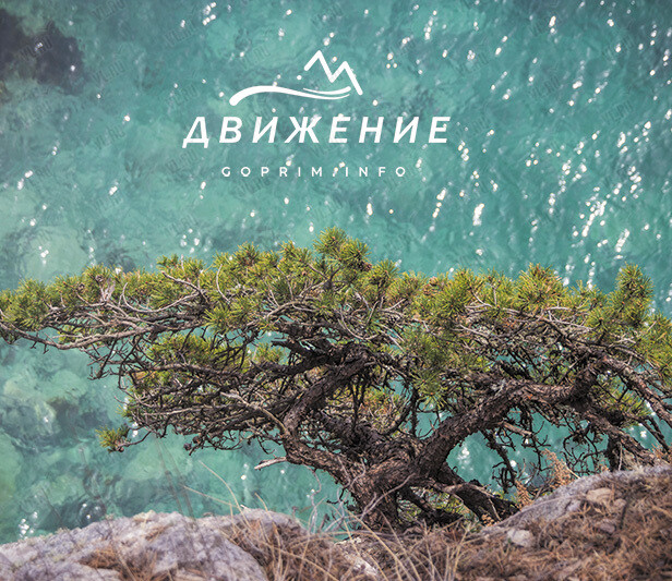 Тур «Полуостров Гамова. Край величественных сосен» (Движение)