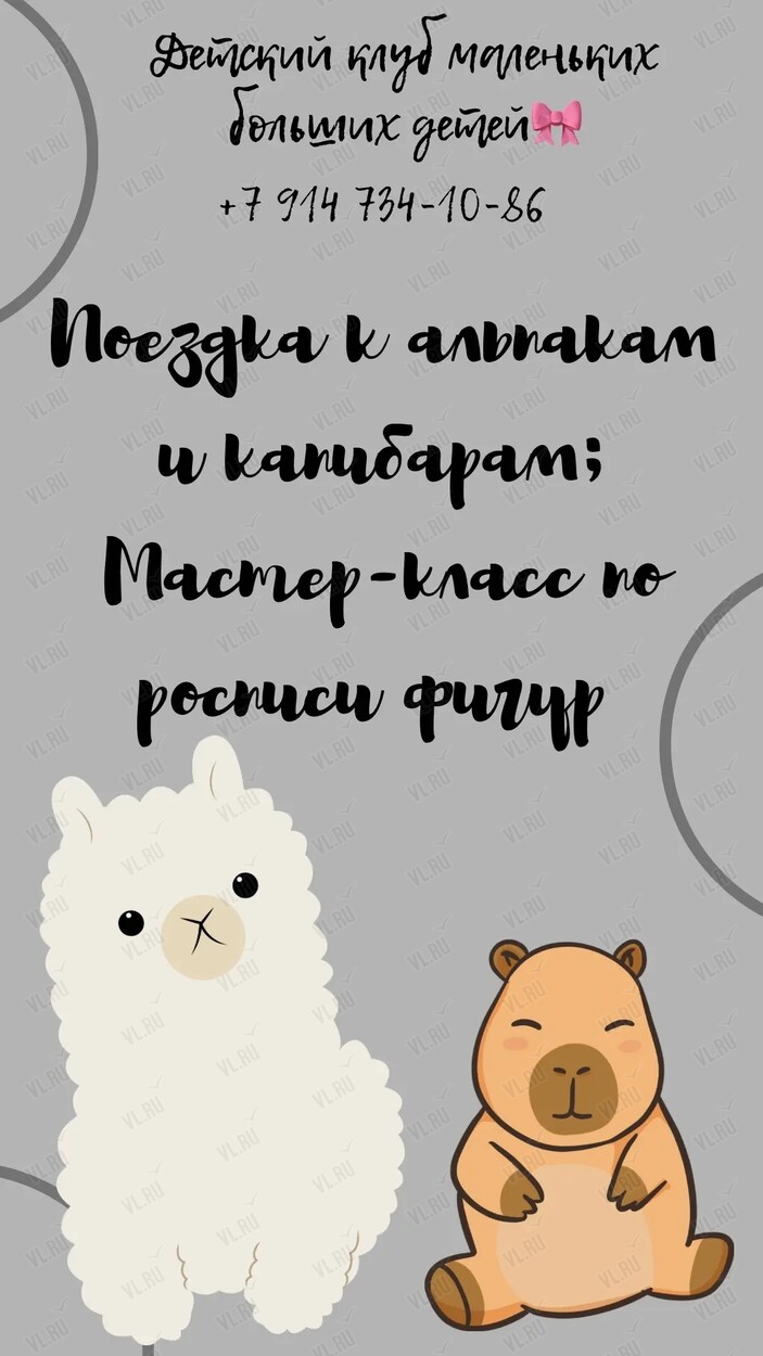 Экскурсия к альпакам (Клуб маленьких больших людей)