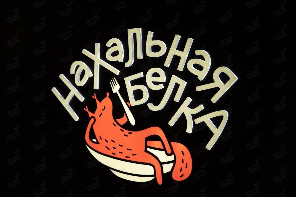 Нахальная Белка