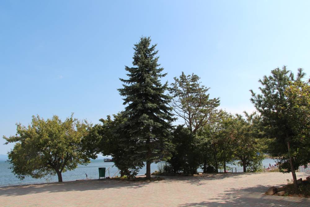 Морской Берег - фото 12