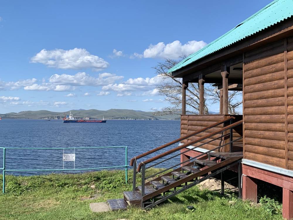 Райтекс