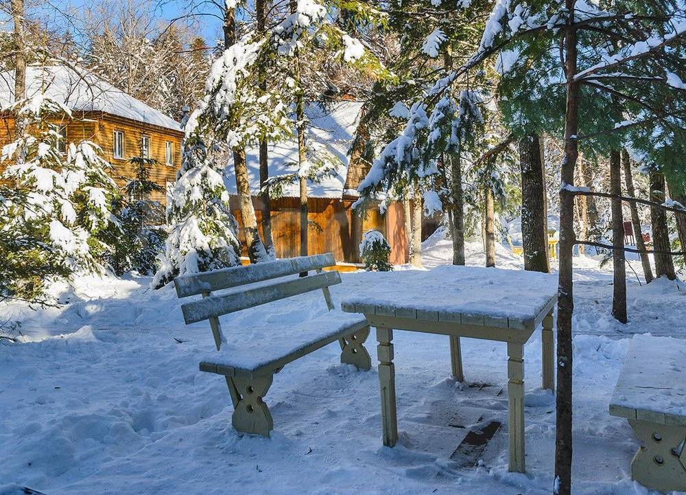 Времена года - фото 6