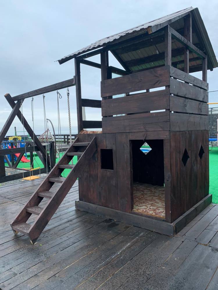 Sunny - фото 11