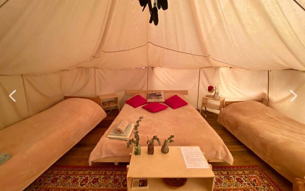 Forest Camping - фото 4