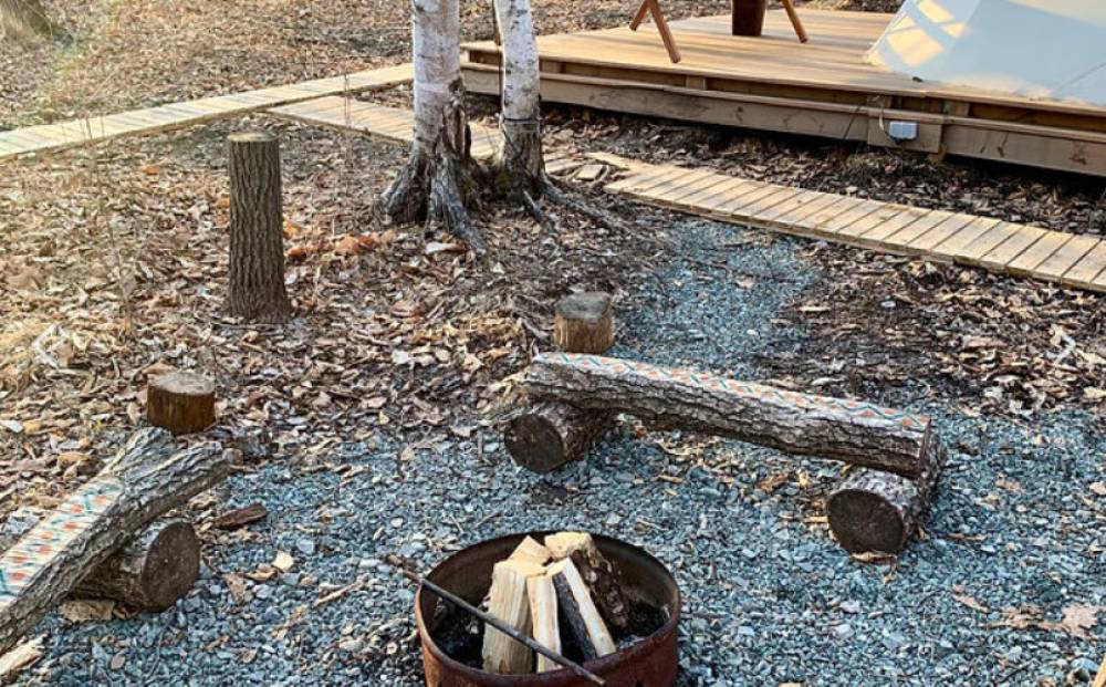 Forest Camping - фото 5
