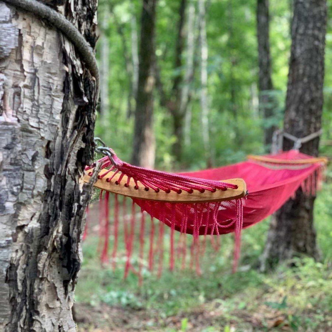 Forest Camping - фото 8