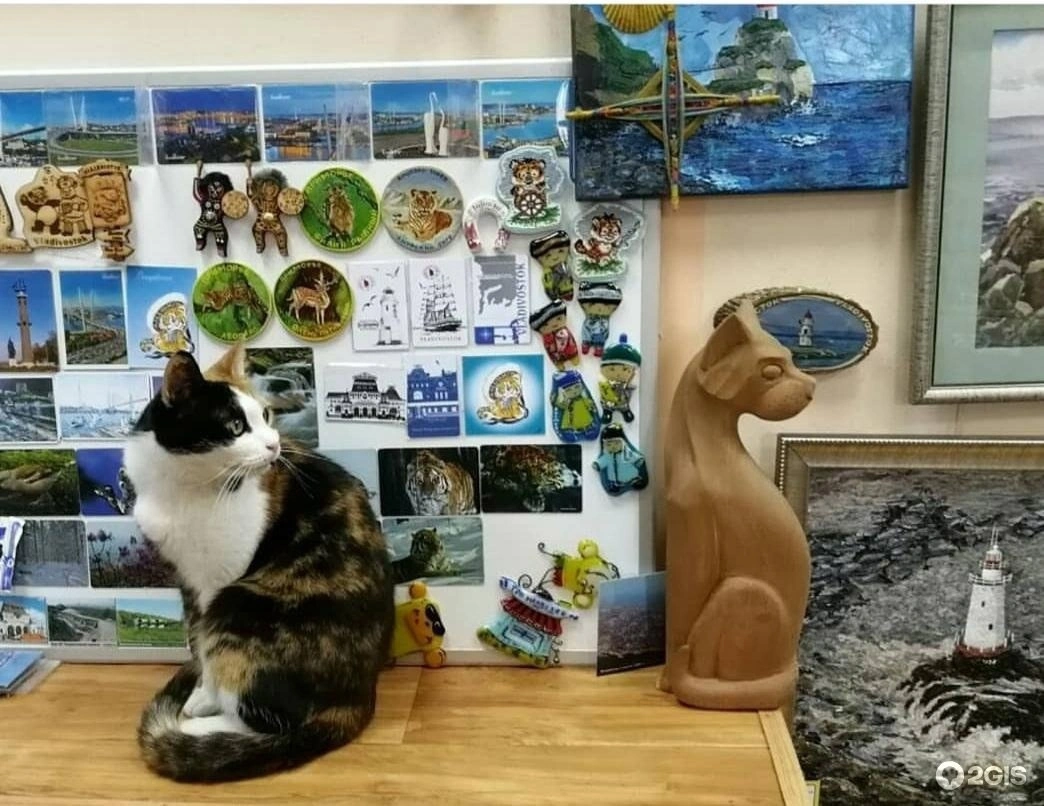 Луна и кошка - фото 1