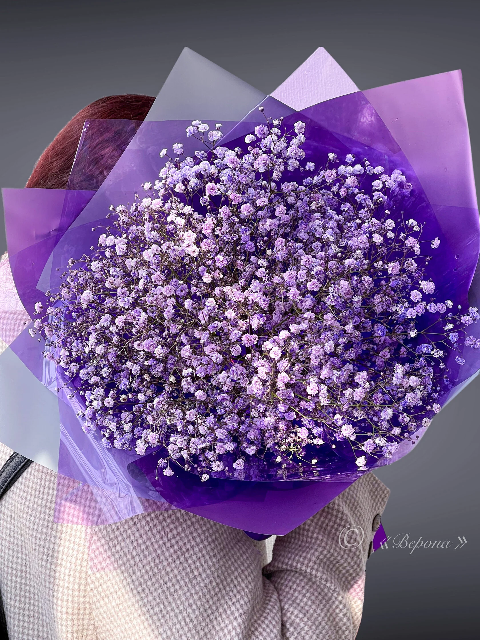 Верона - фото 14