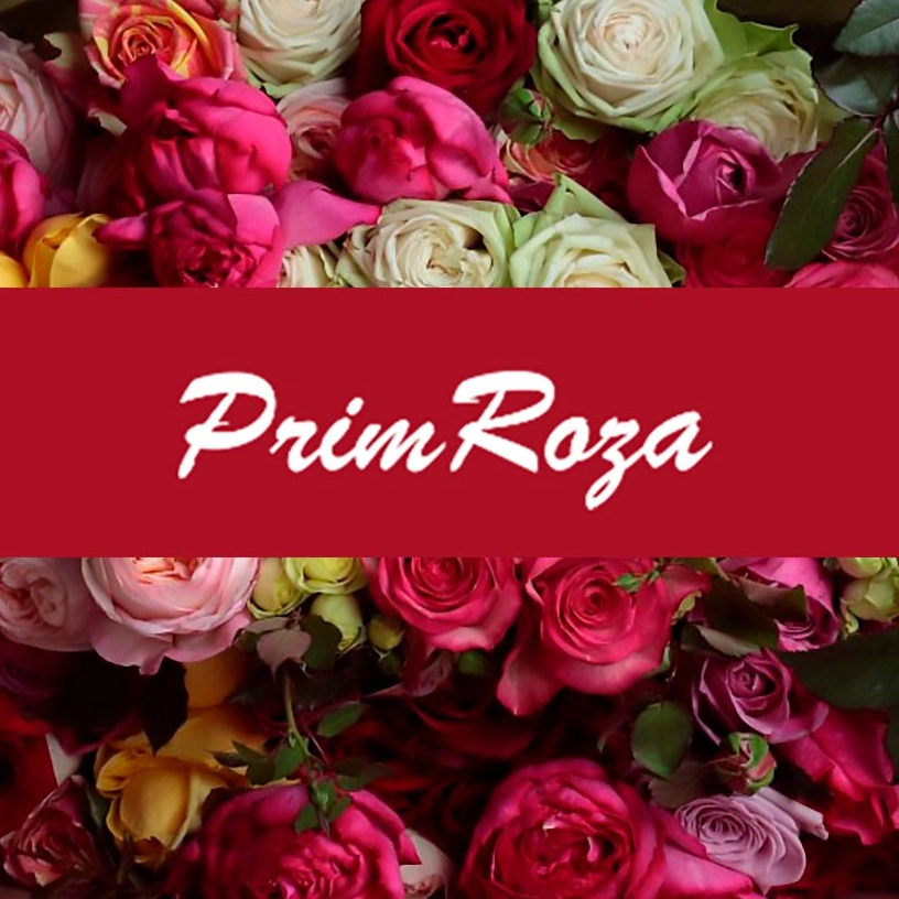 PRIMROZA