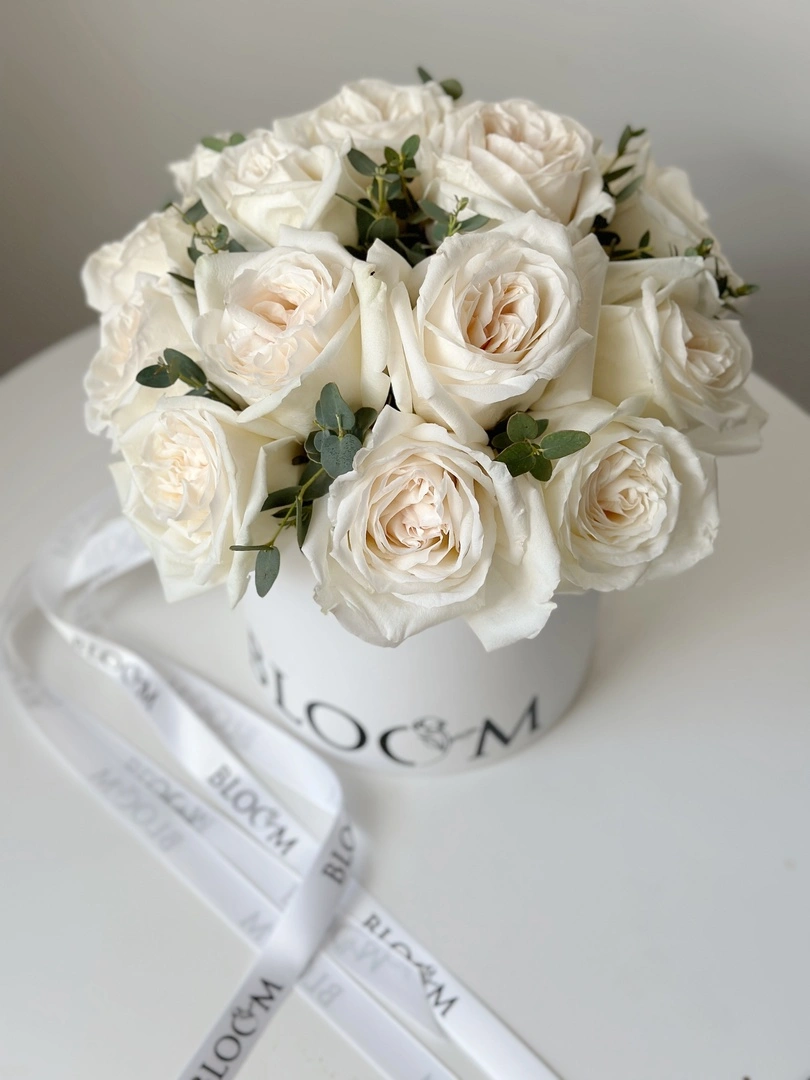 Bloom - фото 7