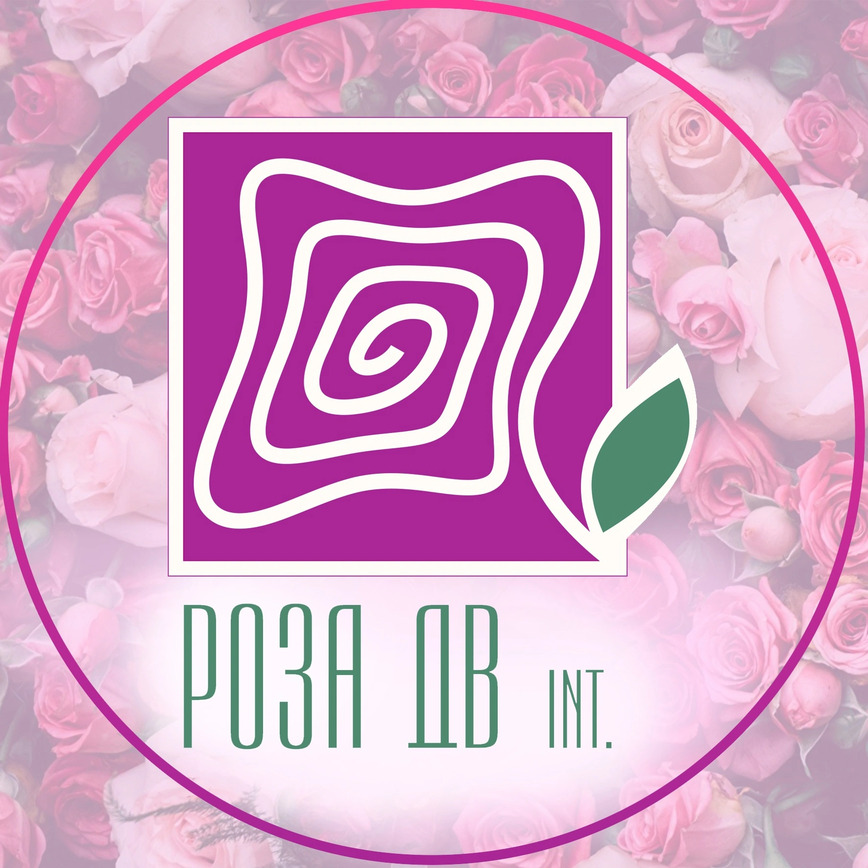Роза ДВ Int