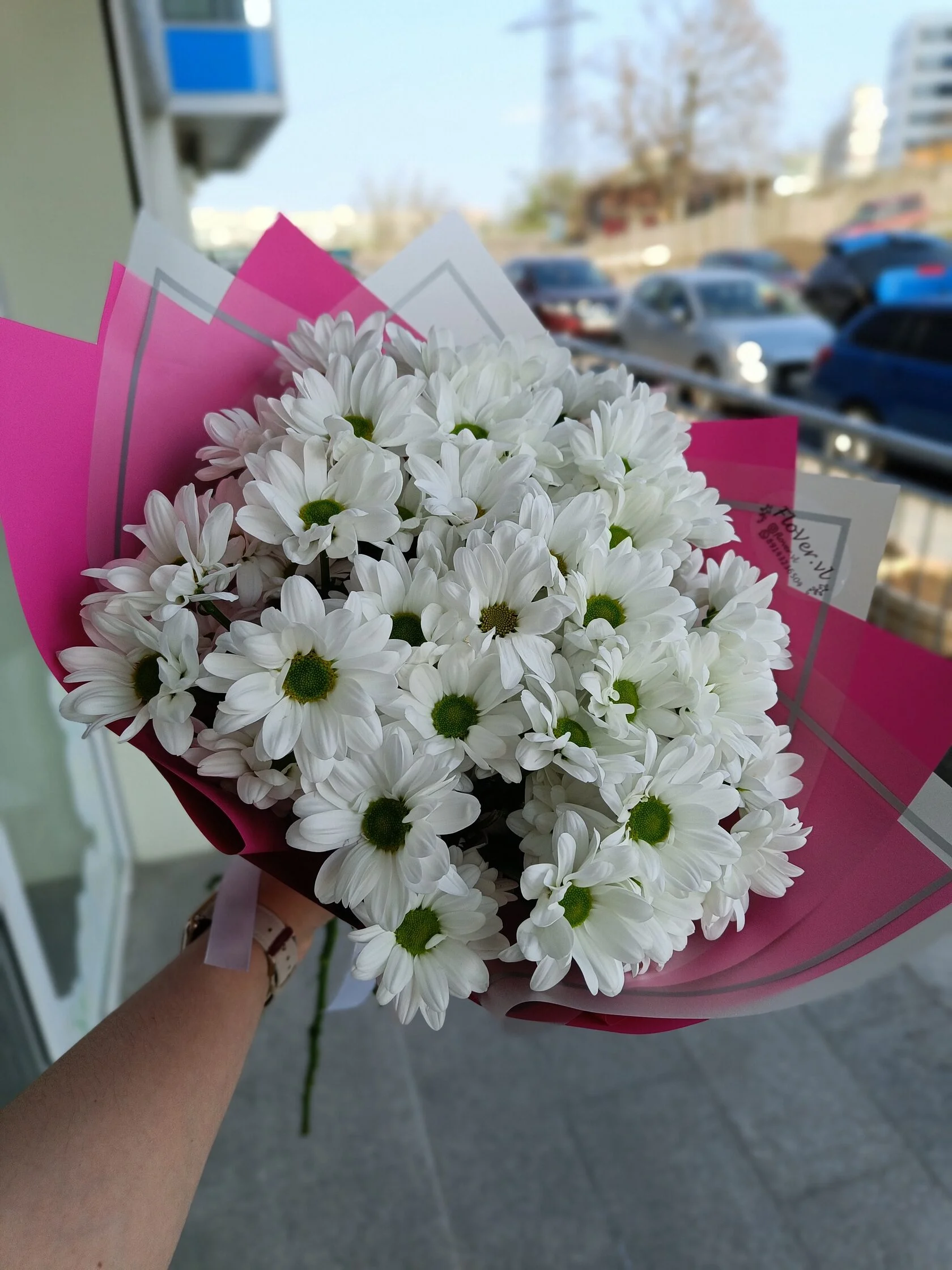 Flover - фото 3