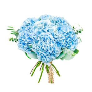 Amore Fiori - фото 4