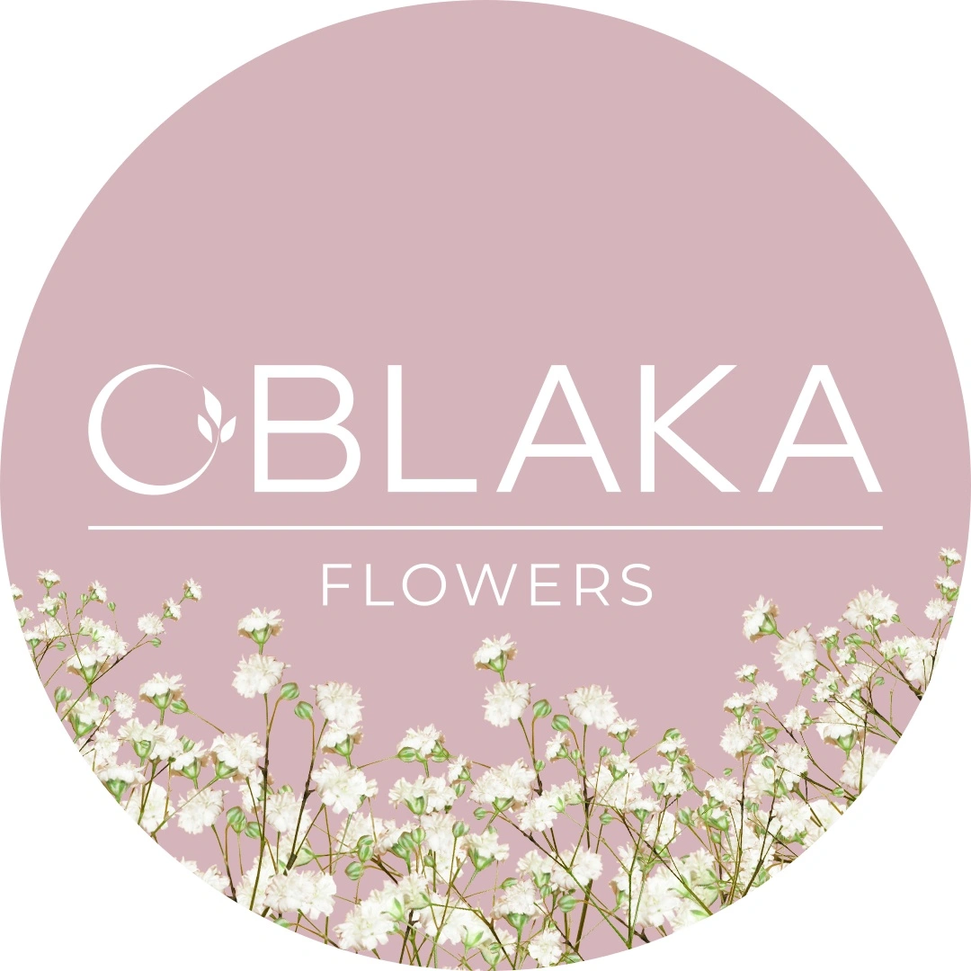 Oblaka.flo