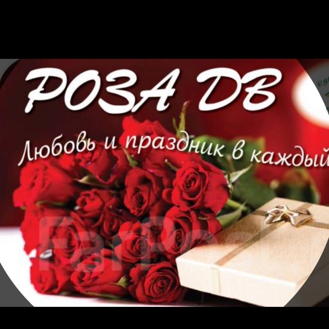 Роза ДВ