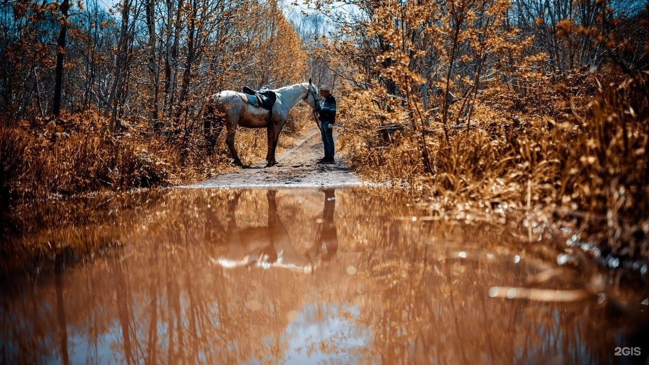 Кавалькада - фото 2