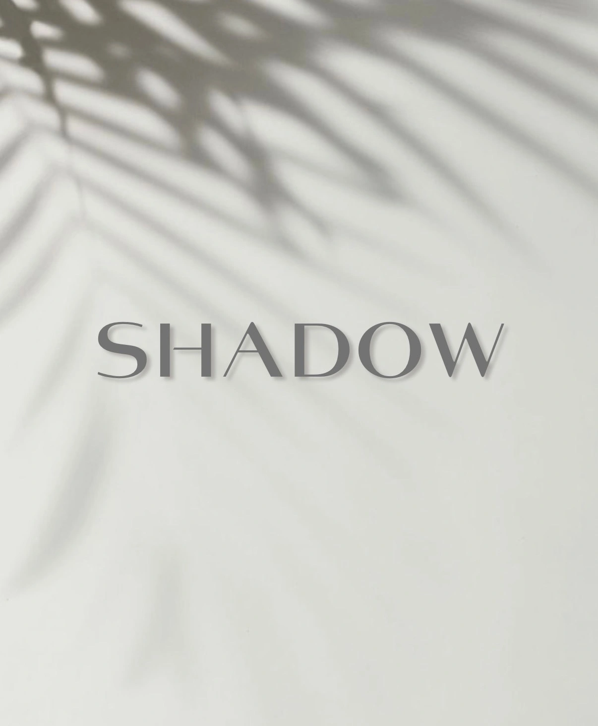 Shadow