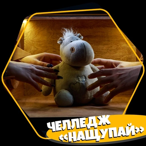 SevenPlus - фото 9