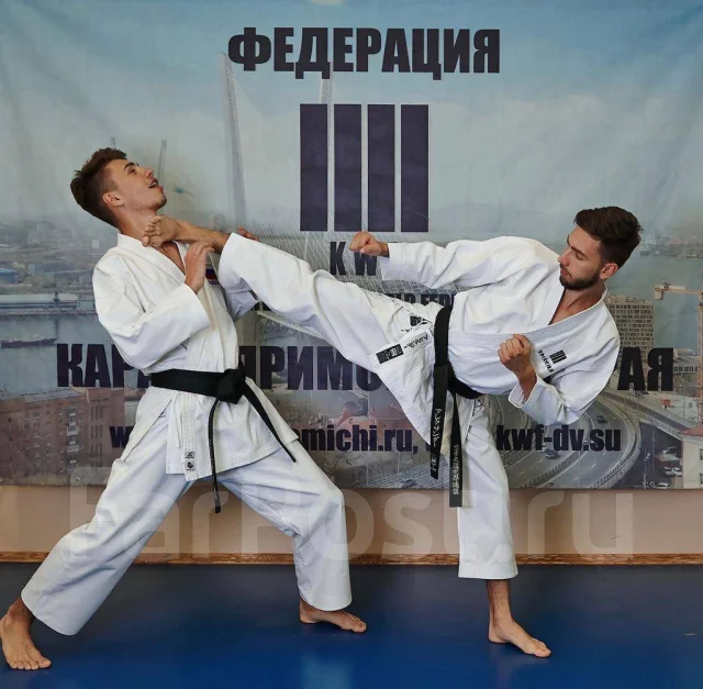 Федерация каратэ Приморского края - фото 15