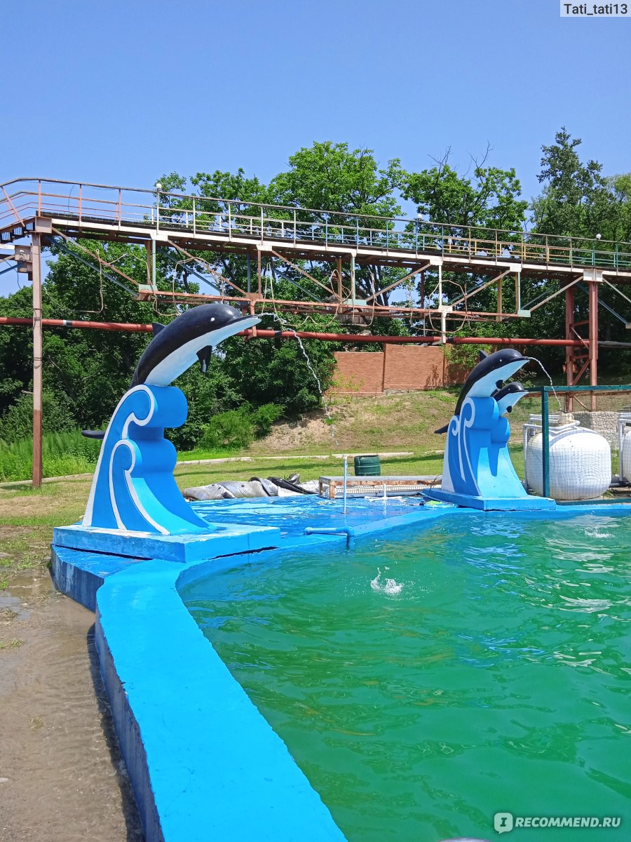 Зеркальный - водно-оздоровительный комплекс - фото 9