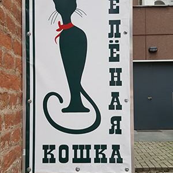 Зелёная кошка - галерея - фото 1