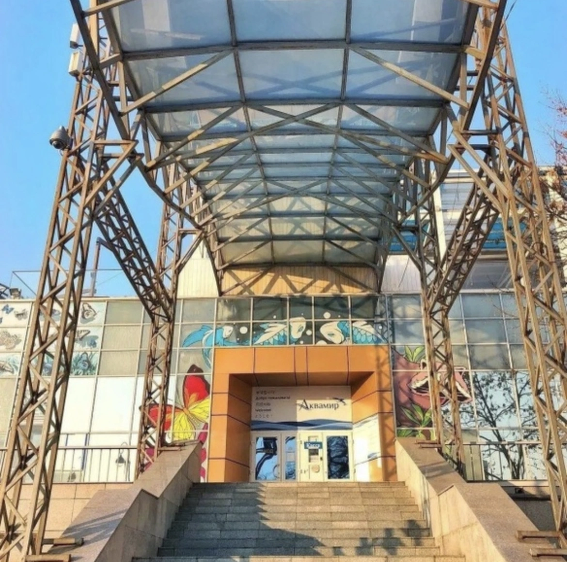 Владивостокский городской Океанариум - фото 1