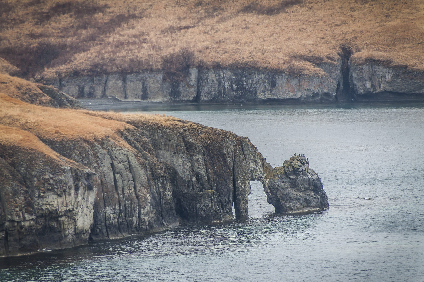 Полуостров Брюса - фото 1