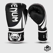 MMA Point - фото 8