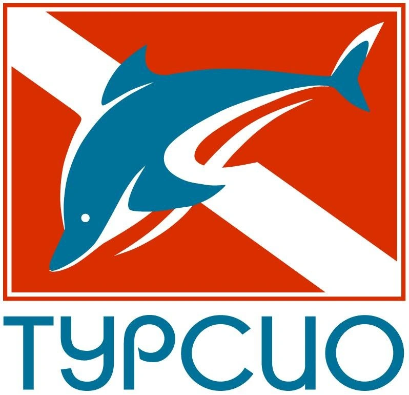 Турсио