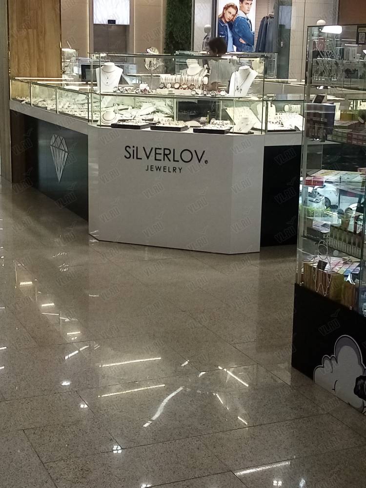 Silverlove - фото 1