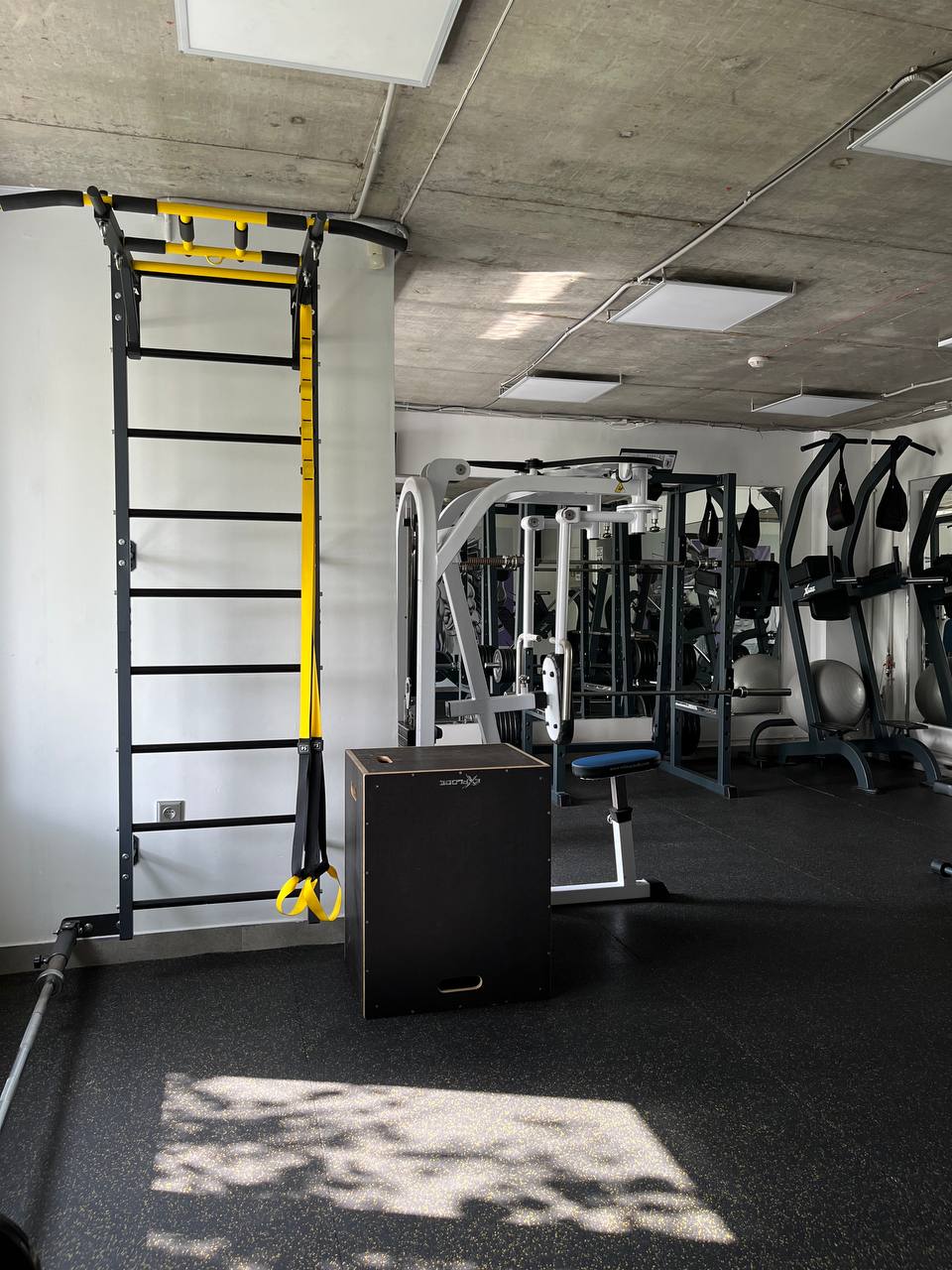 ReGym_tela - фото 2