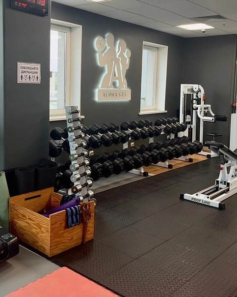 Alpha Gym - фото 1