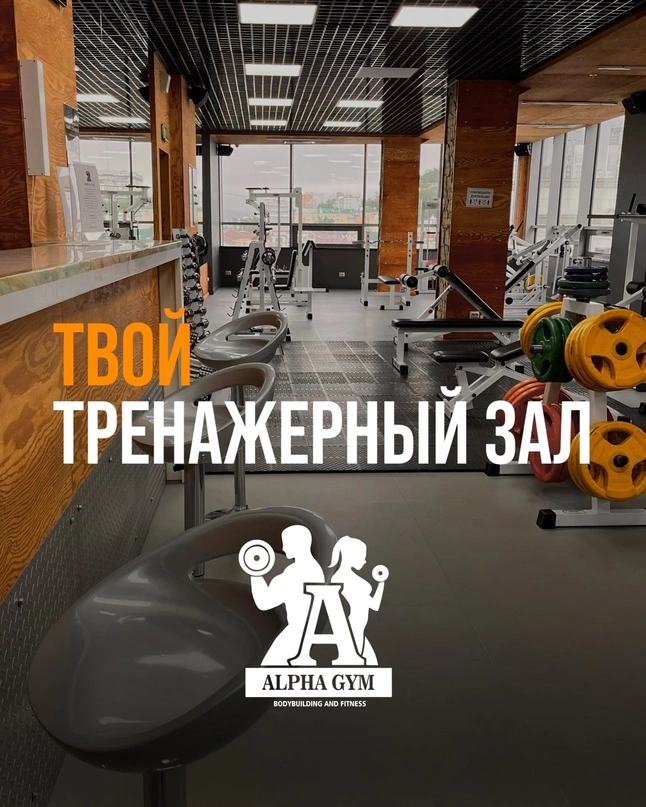 Alpha Gym - фото 3