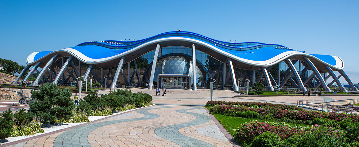 Приморский Oкеанариум - фото 9