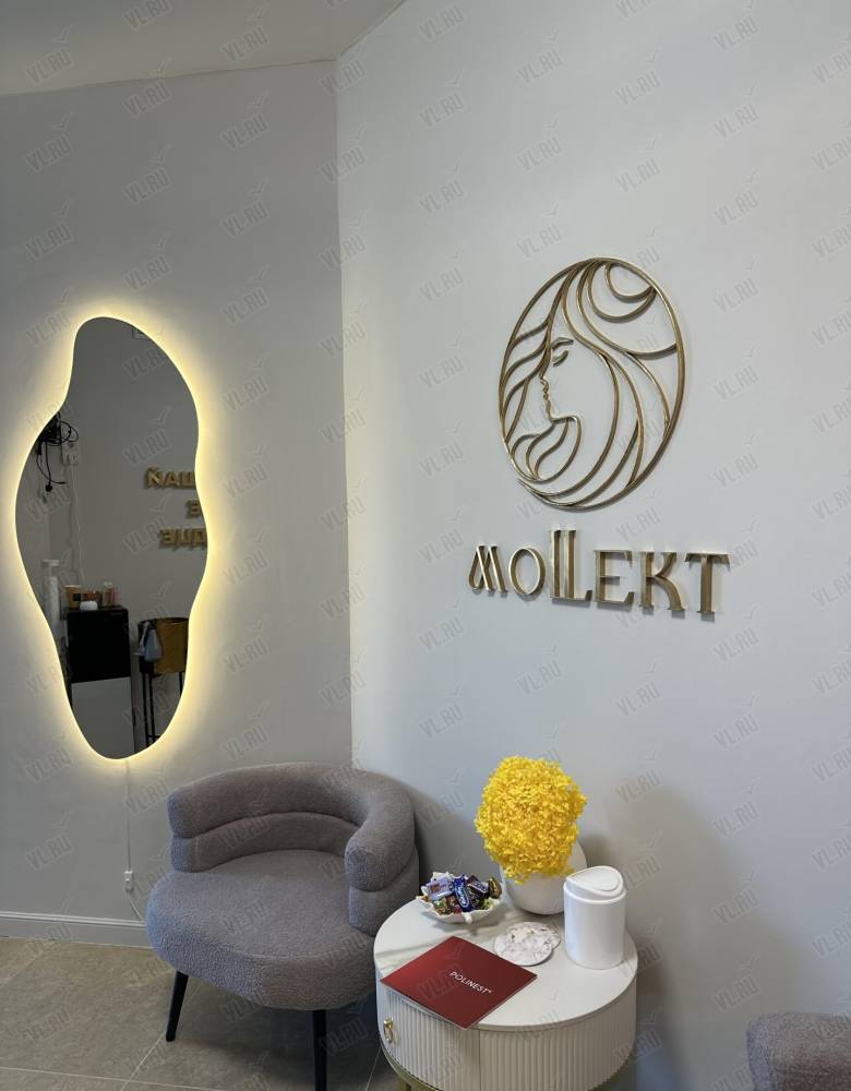 Mollekt - фото 1