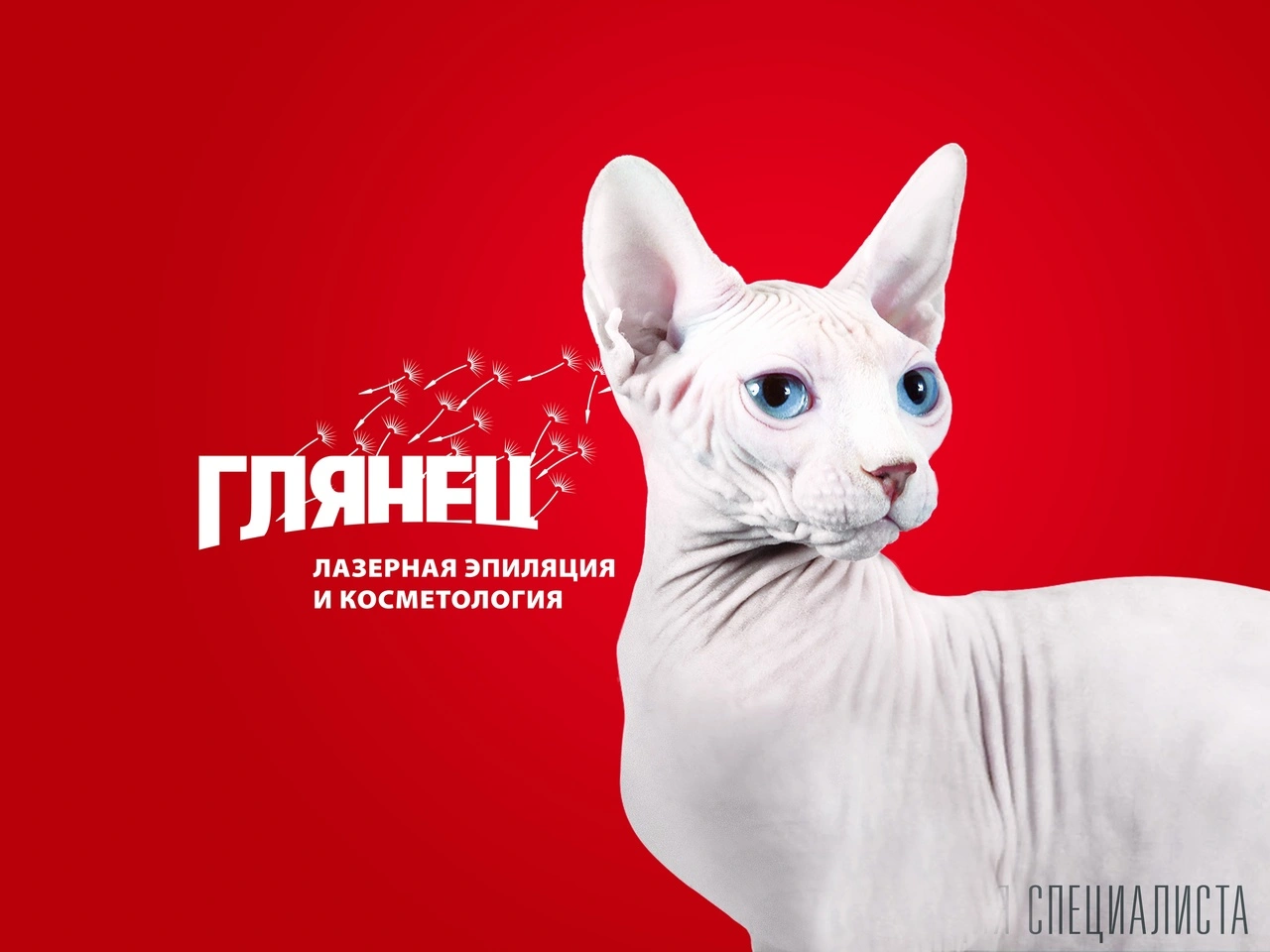 Глянец