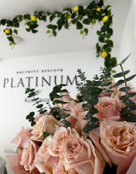 Platinum - фото 1