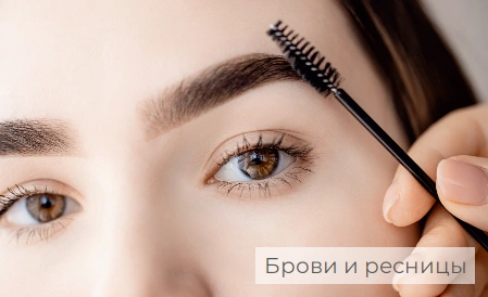 Стрекоза - фото 4
